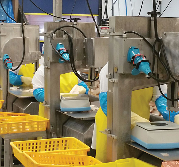 Meltric plugs and receptacles mounted to individual work stations in a seafood processing operation